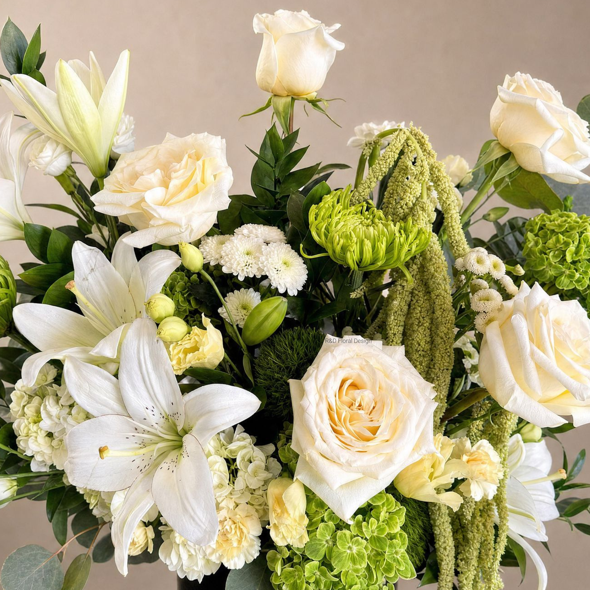 Ivory & Ivy