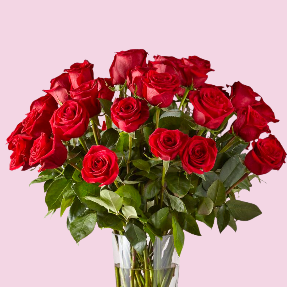 Two Dozen Red Roses