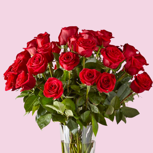 Two Dozen Red Roses