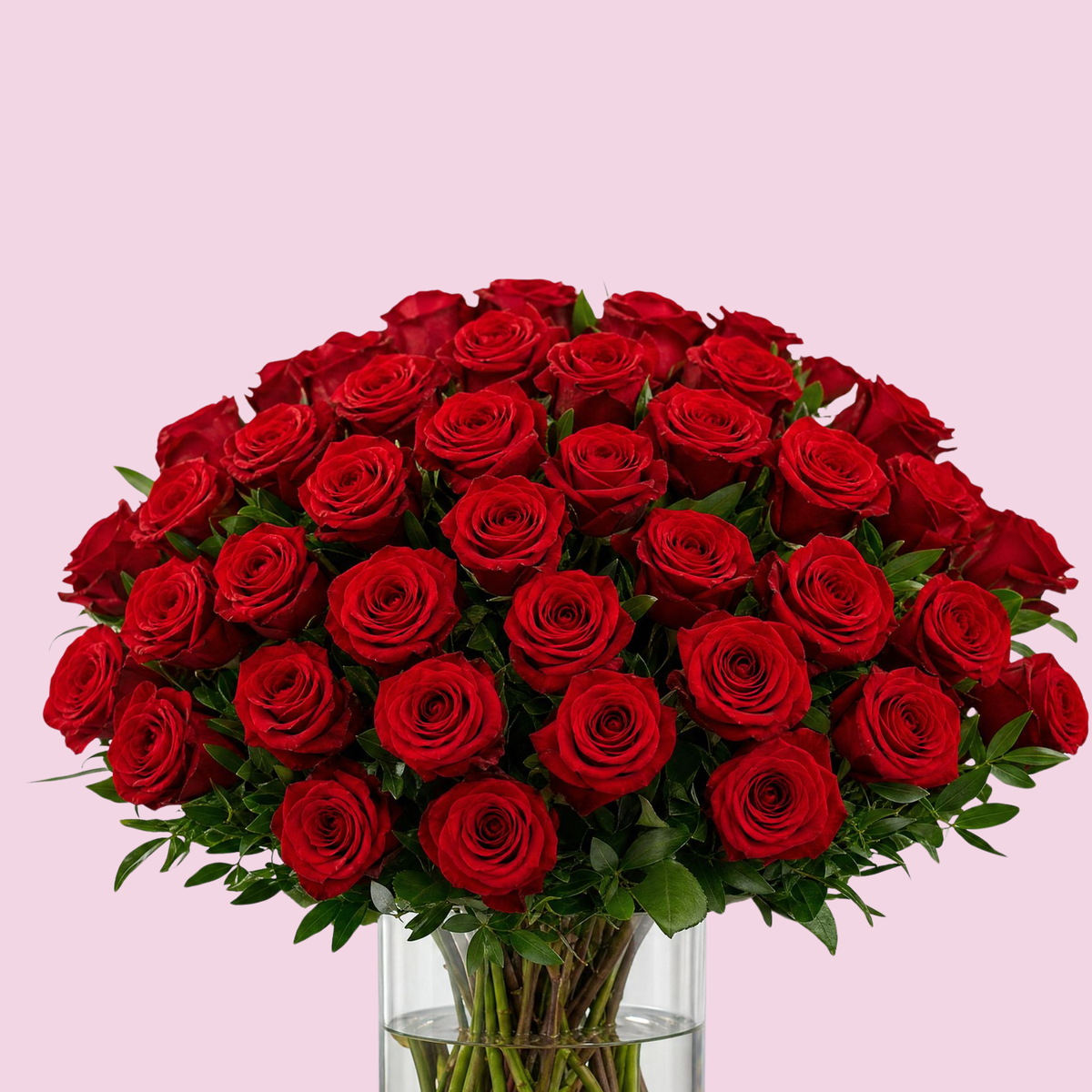 Three Dozen Red Roses