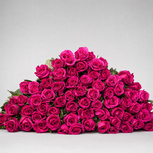 Bulk Hot Pink Roses