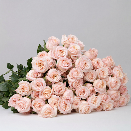 Bulk Pink Roses