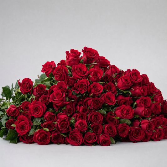 Bulk Red Roses