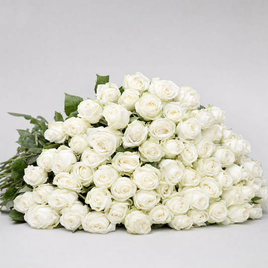 Bulk White Roses