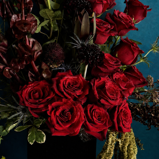 The Scarlett