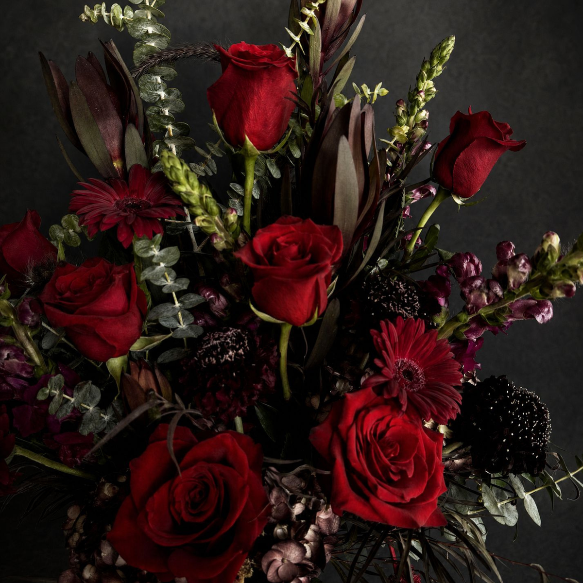 Dark and Moody - gathering LG