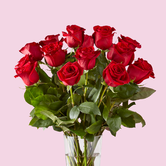 Classic Dozen Red Roses