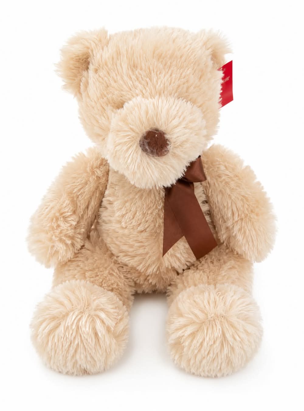 Classic Big Teddy Bear