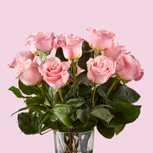 Classic Dozen Pink Roses