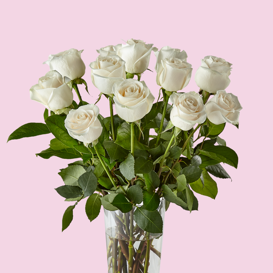 Classic Dozen White Roses